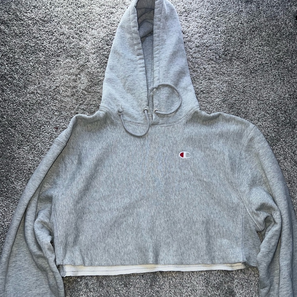 Champion Cropped Hoodie, Medium
